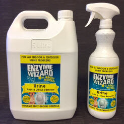 Urine Stain and odour